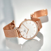 天王表（TIAN WANG）手表Twinkle系列石英表女表时尚休闲女士腕表