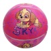 汪汪队立大功PAW PATROL儿童玩具球宝宝拍拍球女孩橡胶篮球充气皮球