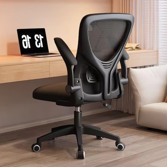 星恺（XINGKAI）电脑椅子办公椅电竞椅人体工学椅家用升降转椅 BG215全黑基础款